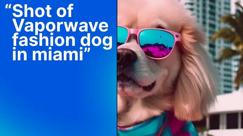A fashion-forward dog in reflective pink sunglasses against a Miami cityscape.