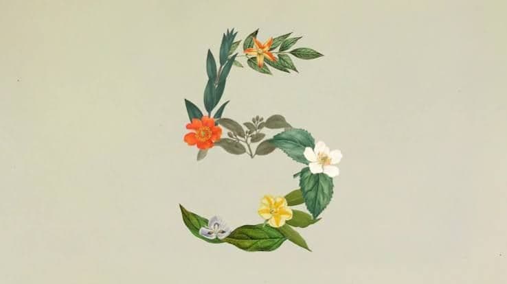 The number five is formed by an assortment of green leaves and colorful flowers.